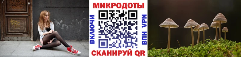 blacksprut как зайти  Новошахтинск  Галлюциногенные грибы GOLDEN TEACHER 
