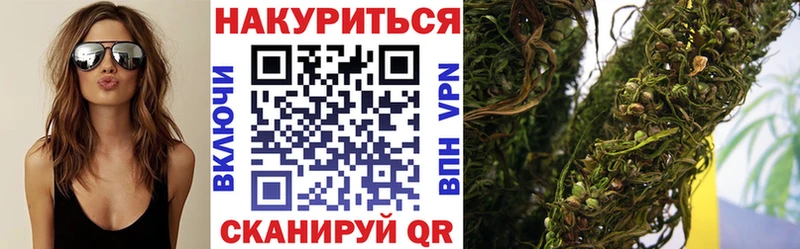 МАРИХУАНА сатива  купить закладку  Новошахтинск 
